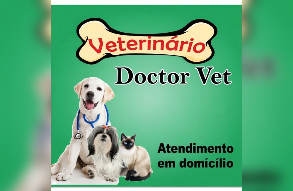 DOCTOR VET