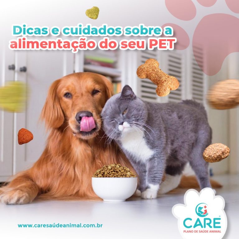 Dicas e Cuidados com a Alimentação dos nossos Pets Care Saúde Animal