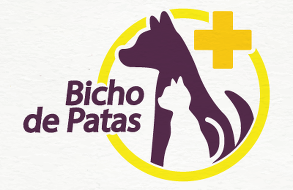 BICHO DE PATAS