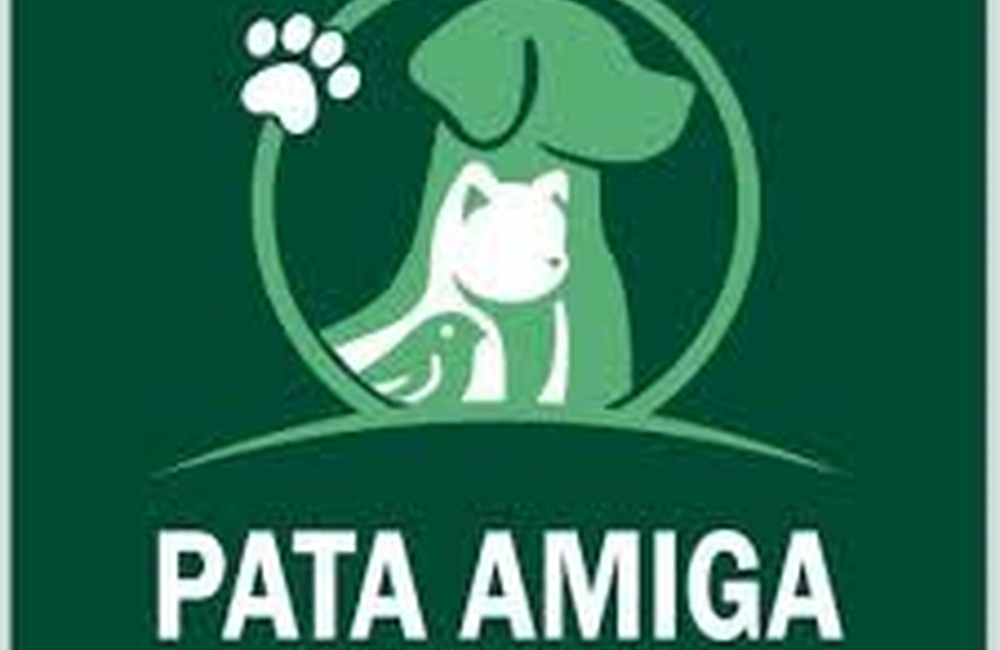 PATA AMIGA