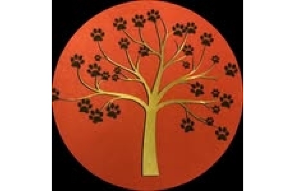 GOLDEN TREES SELECT PET SHOP LTDA