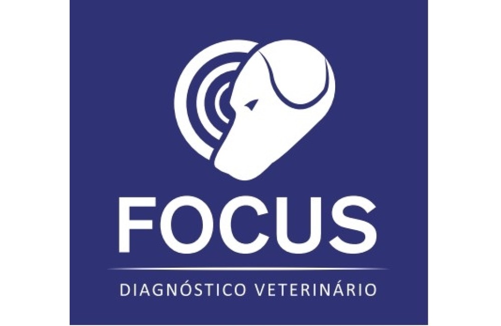 FOCUS DIAGNÓSTICO SERRARIA