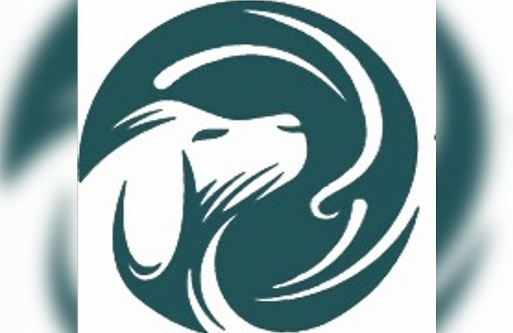 ALEX MARTINS PIRES-ANESTESISTA