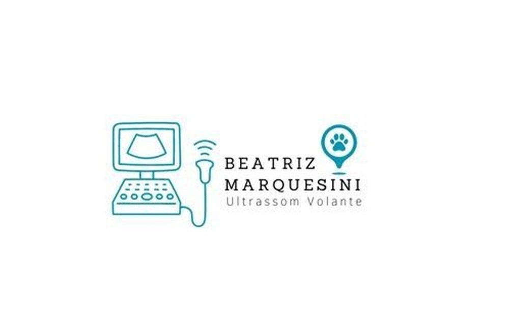 BEATRIZ MARQUESINI