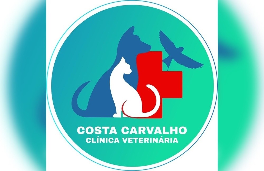 COSTA CARVALHO CLÍNICA VETERINÁRIA