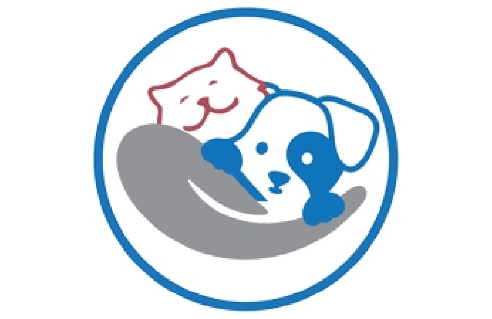 HOSPITAL VETERINARIO CURA