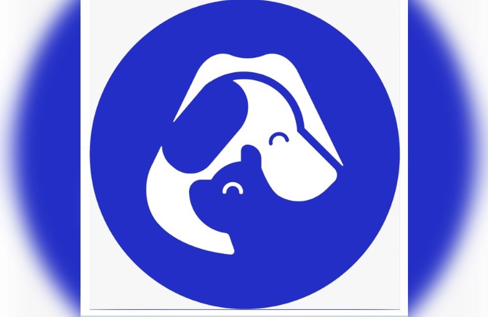 GUILHERME HENRIQUE FERNANDES