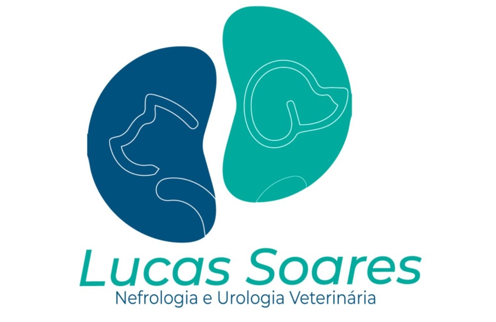 LUCAS SOARES