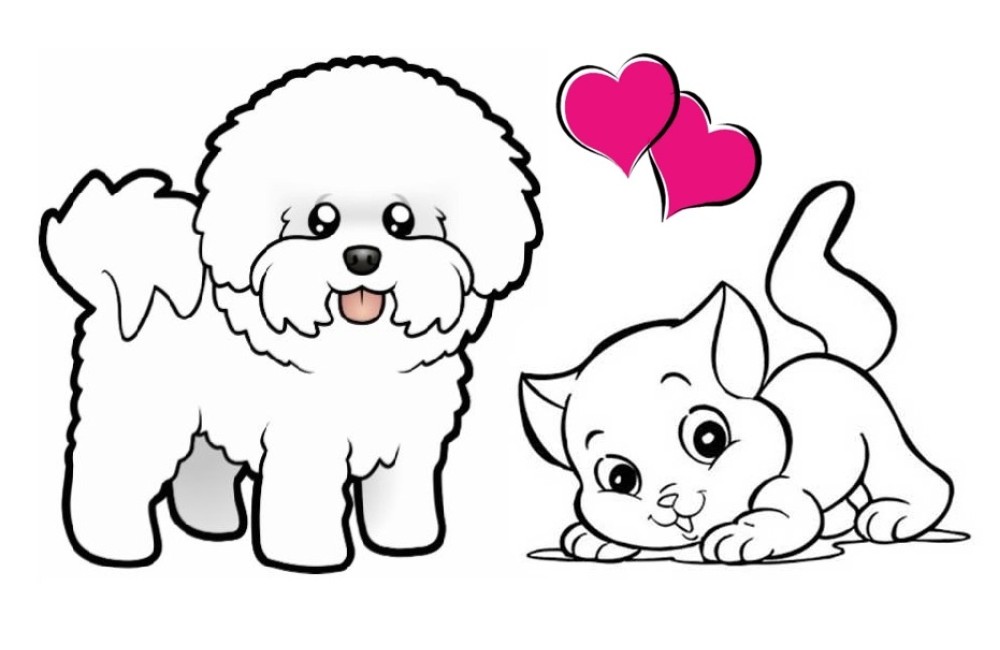 LOVE LOVE DOS BICHOS