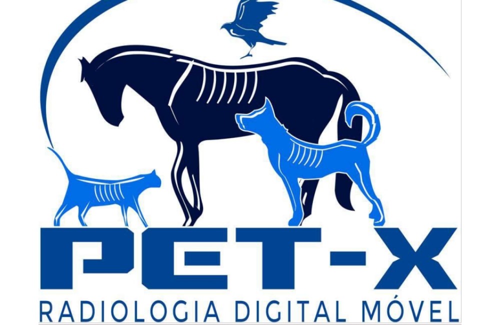 PET – X  DIAGNOSTICO IMAGEM