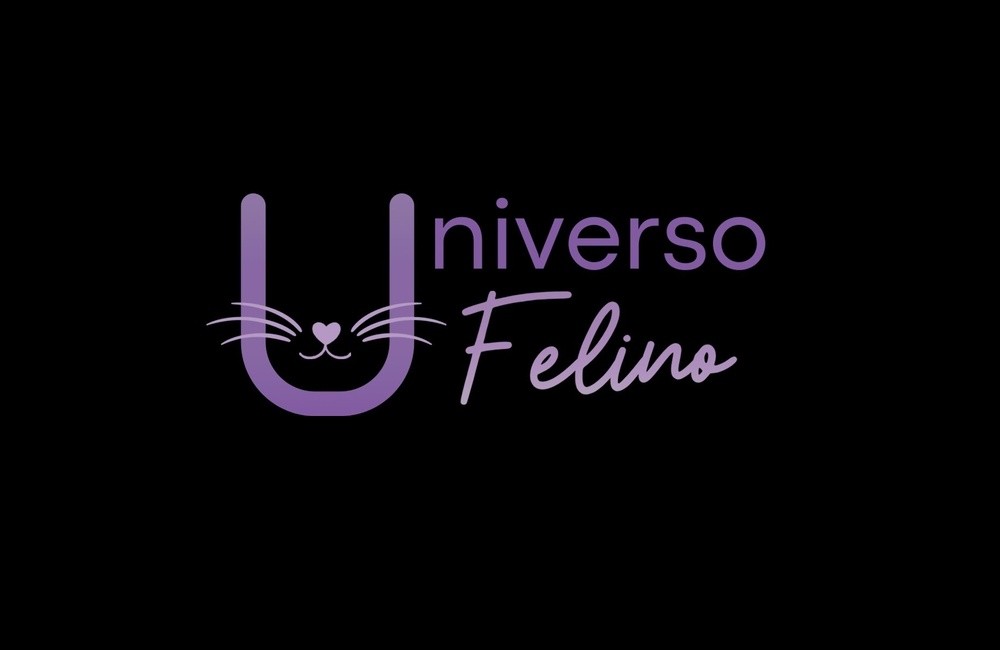 UNIVERSO FELINO