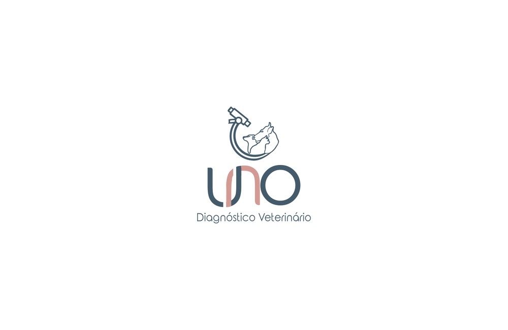 UNO DIAGNÓSTICO