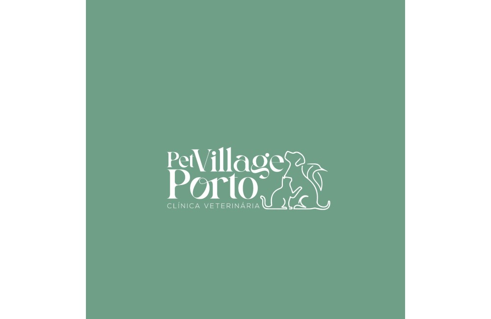 PET VILLAGE CLINICA