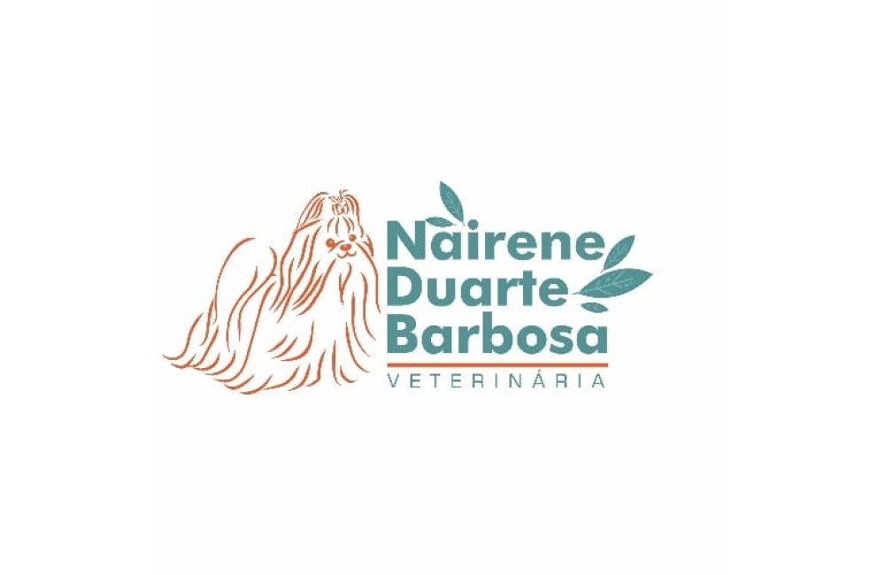 NAIRENE  DUARTE  BARBOSA
