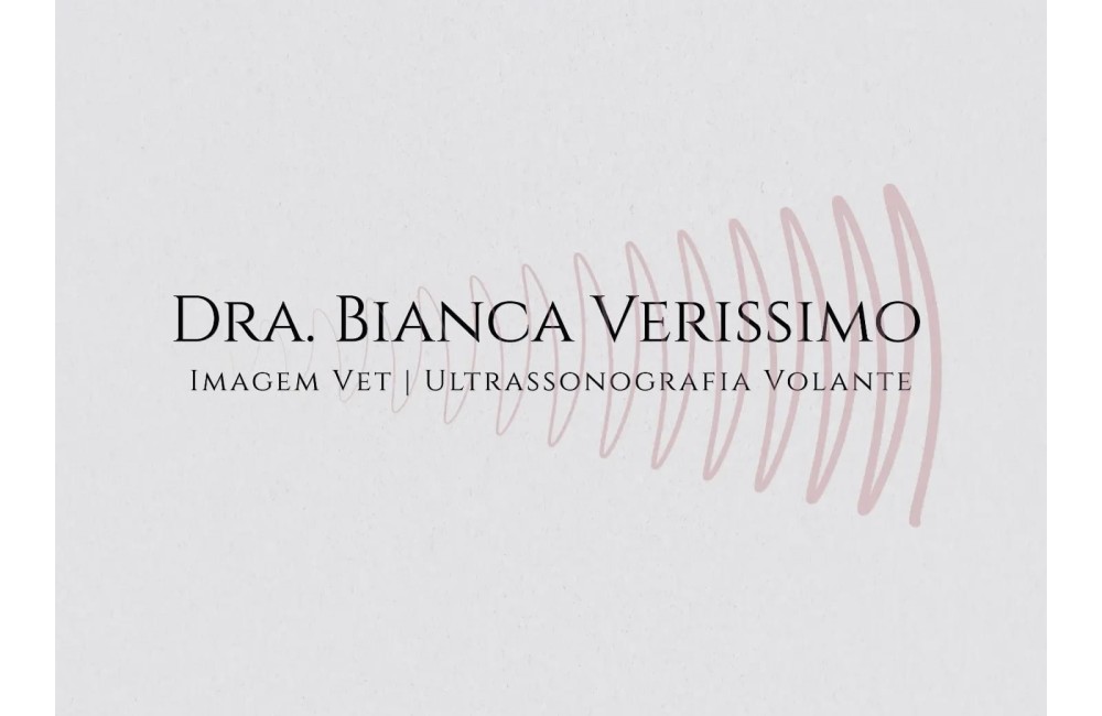 PET STORE CANTINHO DAS PATAS