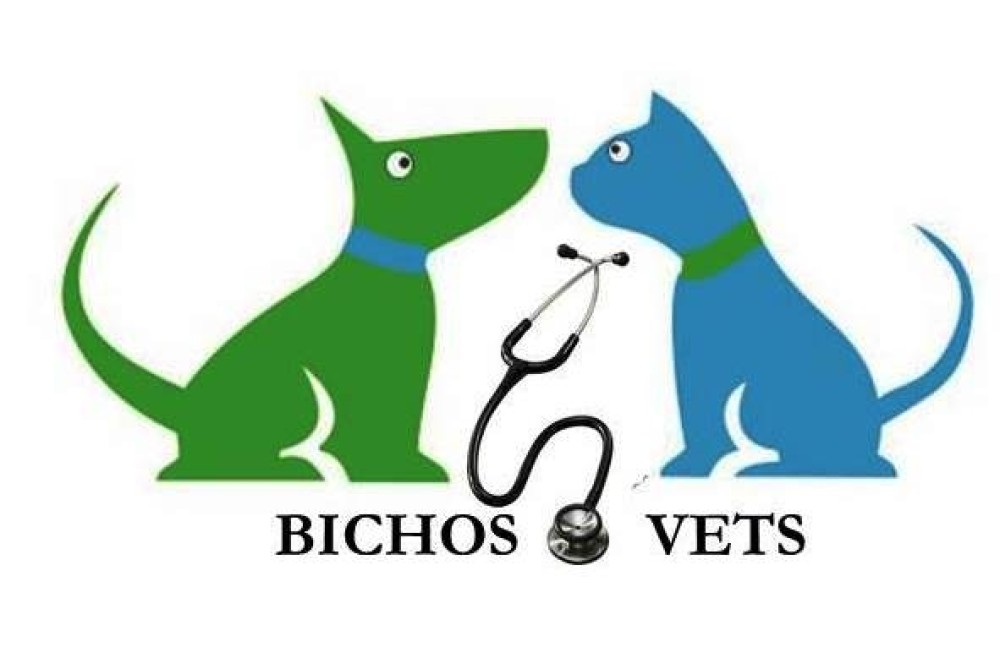 BICHOS E VETS