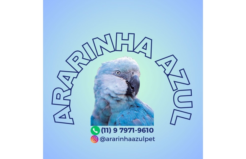 PET SHOP ARARINHA AZUL