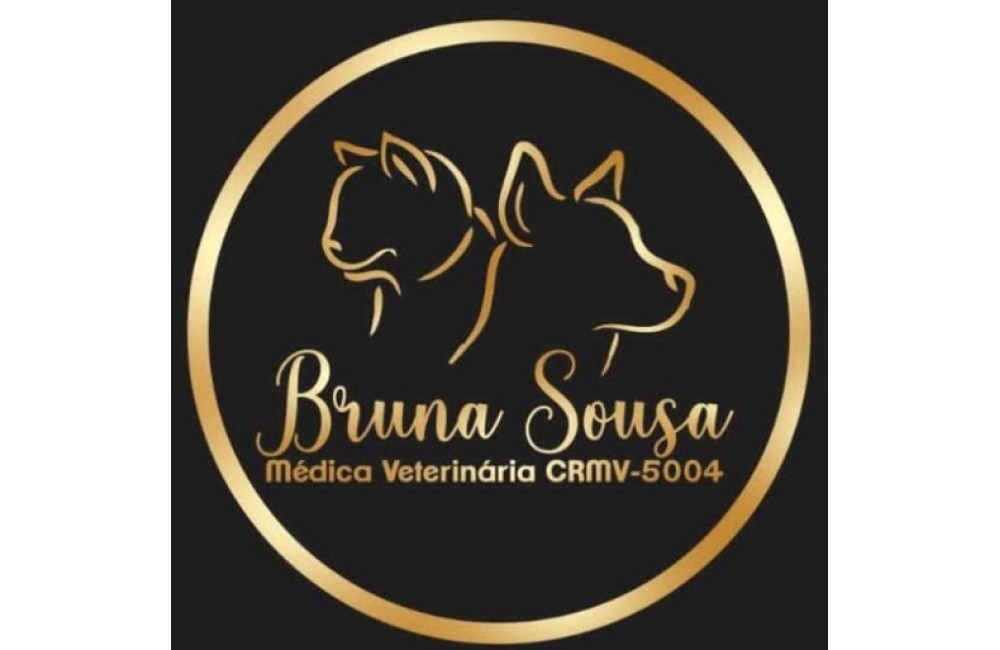 DRA BRUNA SOUSA MEDICA VETERINARIA LTDA