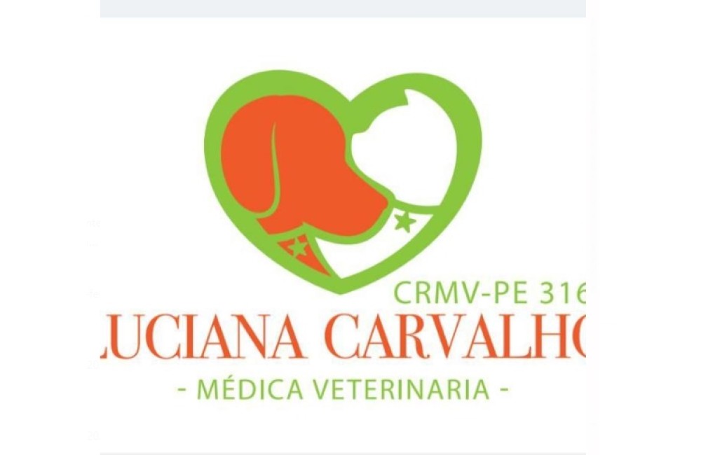 ESPAÇO VT – Luciana Carvalho