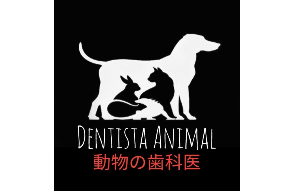 DENTISTA ANIMAL