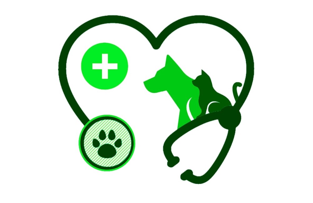 CLÍNICA  DRA. NATÁLIA CRISTINA SILVA