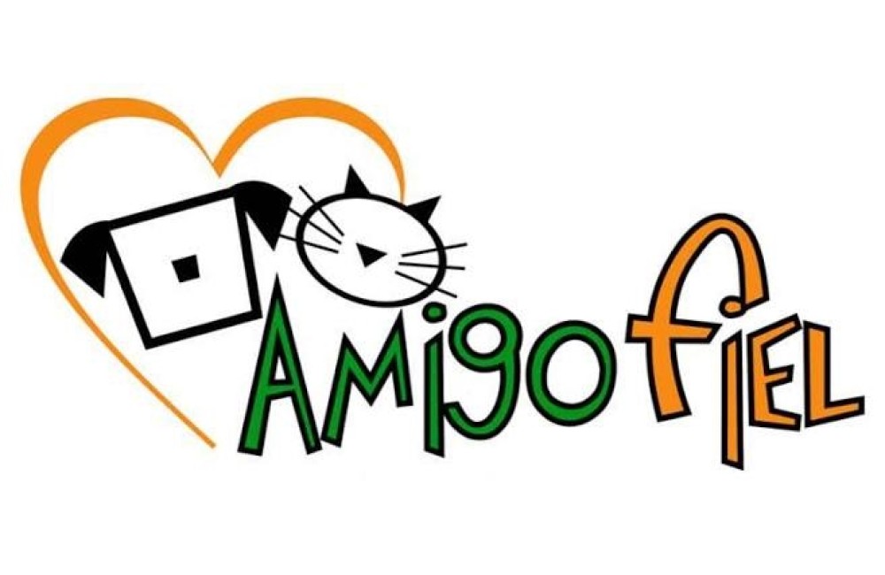 AMIGO FIEL PARÁ